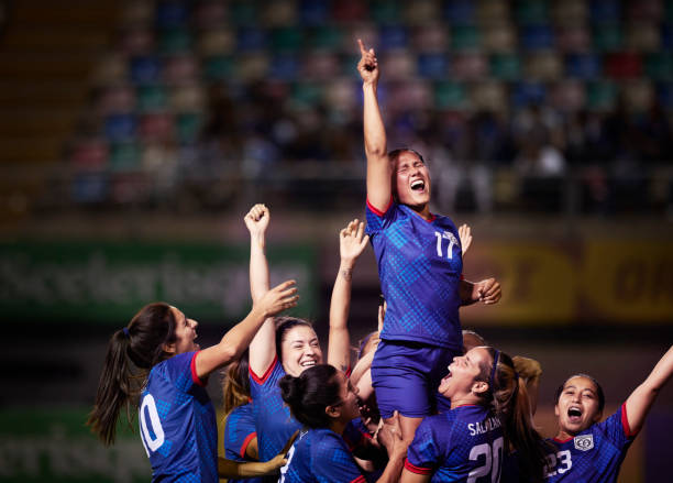 蓝军球迷的 蓝军球迷的