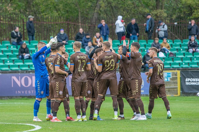 引了众多豪 引了众多豪